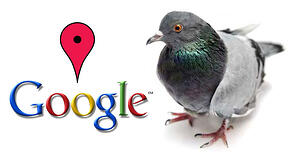 Google-Pigeon-update